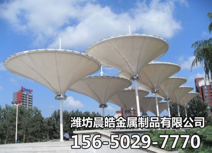 景观膜结构