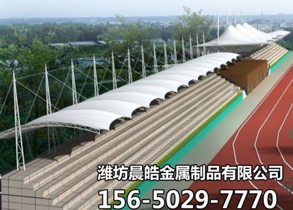 体育场/看台馆膜结构
